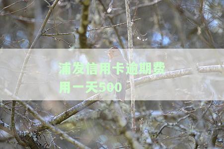 浦发信用卡逾期费用一天500