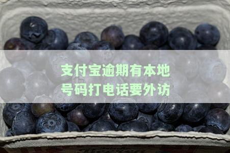 支付宝逾期打电话说外访人员去户地，警惕！支付宝逾期可能遭遇外访人员上门催收，务必及时还款