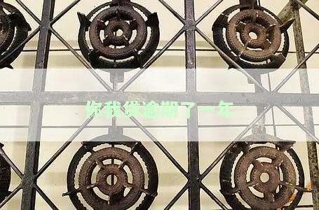 你我贷逾期了一年会怎么样，逾期一年，你我贷会对你采取什么措？