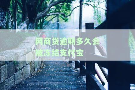 网商贷逾期多久会被冻结支付宝余额？逾期记录多久消除？全额还款期限是多久？逾期有何影响？