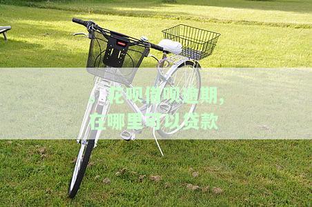 '.花呗借呗逾期，如何贷款购房？'