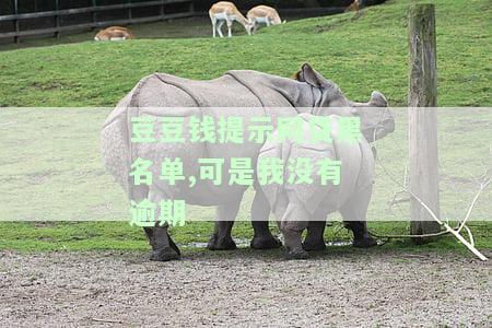 豆豆钱上黑名单了吗？黑户能下款吗，被清查或清退，是否会上征信？
