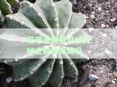 花呗逾期后可以关闭吗，如何处理花呗逾期：关闭账户可行吗？