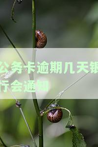 公务卡逾期几天银行会通知吗，公职人员注意：公务卡逾期几天，银行是否会通知你？