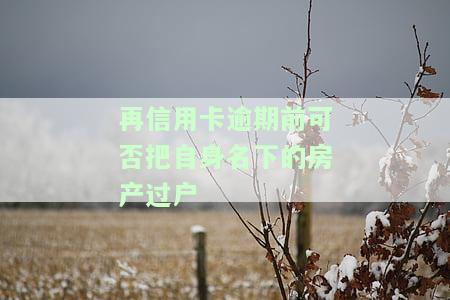 再信用卡逾期前可否把自身名下的房产过户给他人，预防信用卡逾期：在处理房产过户问题时应注意什么？