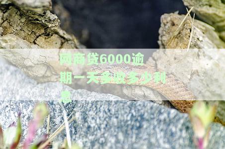 网商贷6万逾期一年需偿还多少费用？已逾期290天，欠款共6万，逾期三年情况如何？
