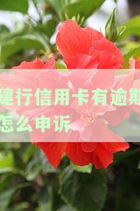 建行信用卡逾期后能否申请减免？2021年新政策及逾期处理方式解析