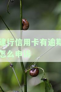 建行信用卡有逾期怎么申诉-建行信用卡有逾期怎么申诉成功