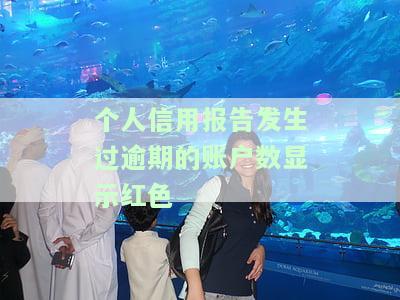 个人征信报告中发生过逾期的帐号数用红色字体显示，突出逾期信息！个人征信报告中逾期账号以红字标注