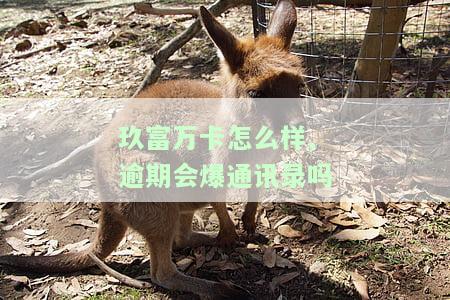 玖富万卡怎么样,逾期会爆通讯录吗，玖富万卡逾期处理：是否会爆通讯录？
