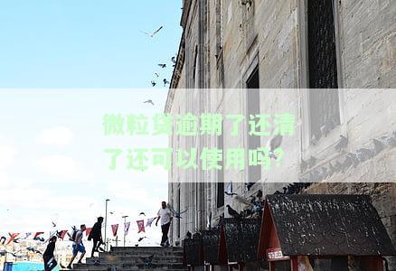 微粒贷逾期了还清了还可以正常使用吗？逾期会对征信有影响吗？能否继续借款？