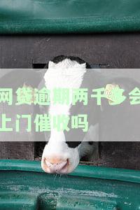 网贷逾期两千多会上门催收吗