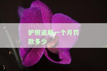 护照逾期一个月罚款多少钱，逾期一个月的护照罚款金额是多少？