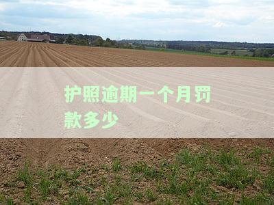 护照逾期罚款是多少，了解护照逾期罚款：你应该知道的费用和规定