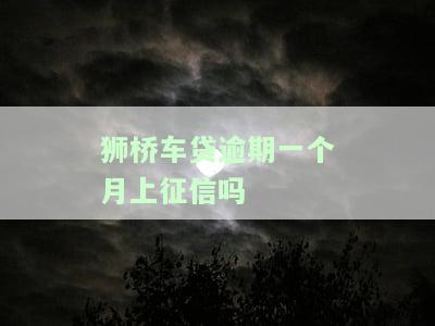 狮桥车贷逾期一个月上征信吗怎么办，狮桥车贷逾期一个月是否会上征信？解决办法大揭秘！
