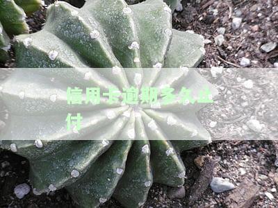 欠信用卡逾期多久会被起诉？法院如何判决，是否会坐牢或限制高消费？一万块逾期多久会被告？