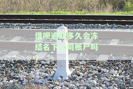 借呗逾期多久会被列入失信被执行人，警惕！借呗逾期多久会成为失信被执行人？