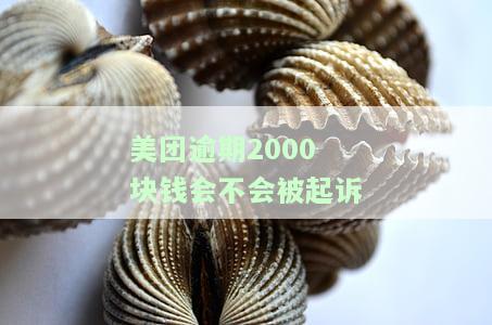 美团逾期几千块,一个月会怎么样？是否会被告上法庭？逾期6000元的影响是什么？