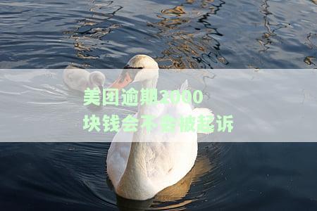 美团逾期2000块钱会不会被起诉-美团逾期2000块钱会不会被起诉呢
