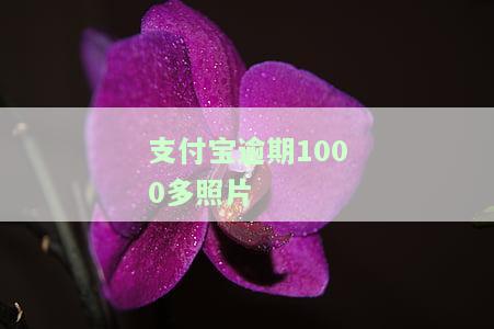 支付宝逾期1千多会去家里吗？逾期几千块会联系支付宝好友吗？