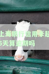 上海银行信用卡588年费会返还吗？真相是什么？如何避免年费？