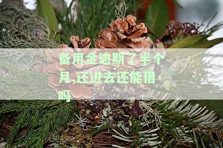 备用金逾期了半个月,还进去还能借吗
