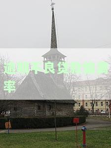 不良贷款偏离度计算公式，深入解析：不良贷款偏离度计算公式的应用与影响