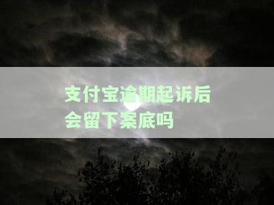 支付宝逾期被起诉的，支付宝逾期未还遭起诉，用户需警惕信用风险