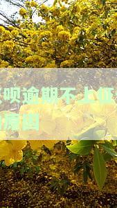 花呗逾期为什么不上征信？影响使用及征信记录解析
