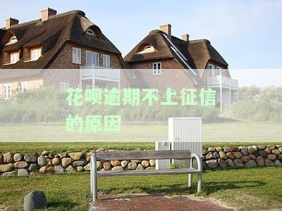花呗逾期不上征信的原因-花呗逾期不上征信的原因有哪些