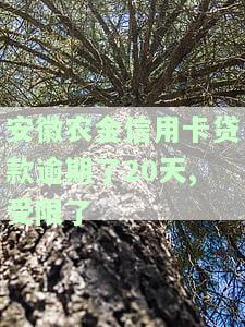 安徽农金信用卡贷款逾期了20天,受限了怎么办，安徽农金信用卡贷款逾期20天被限制，如何解决？