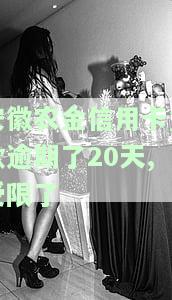 安徽农金信用卡贷款逾期20天被限制，如何解决？