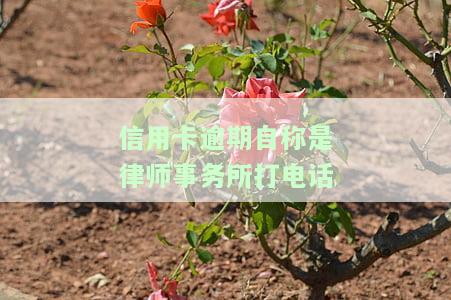 欠信用卡律师事务所打电话说要立案？如何应对？