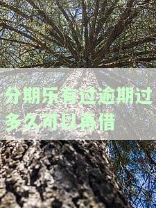 分期乐逾期后多久可以使用？影响及解决办法全解析
