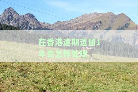 在香港逾期逗留多久要坐牢，香港法例规定：逾期逗留时间过长将面临监禁风险