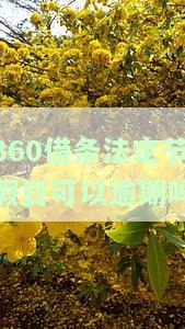 360借条法定节假日可以逾期吗