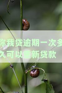 你我贷逾期一次多久可以重新贷款
