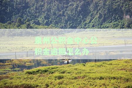 泉州公积金封存时间查询，如何查询泉州公积金的封存时间？