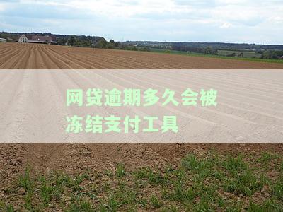 网贷逾期多久会被冻结支付工具账户？影响及处理方式