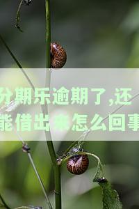 分期乐逾期了借不了还清后还可以借吗，如何解决分期乐逾期问题：结清后是否可以再次借款？