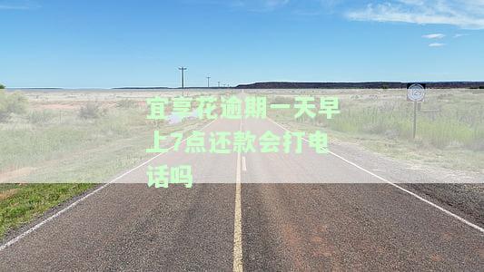 宜享花逾期一天后还款，需要还两个月账单吗？能否再次借款？逾期处理方法解析