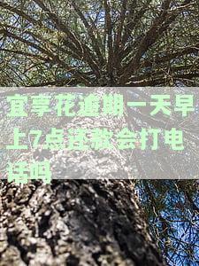 宜享花逾期一天还能循环吗？逾期处理及后果解析
