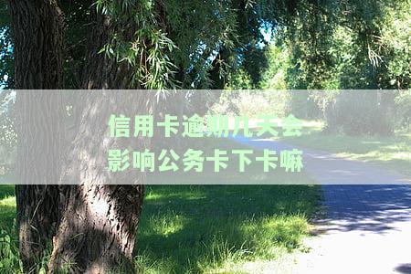 信用卡逾期几天会影响公务卡下卡嘛，信用卡逾期几天是否会影响公务卡的申请审批？