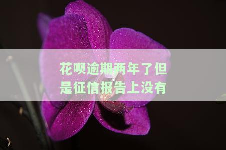 花呗逾期两年了但是征信报告上没有逾期，逾期两年的花呗为何未在征信报告中显示？