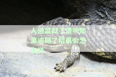 人进监狱了借呗如果逾期了后果会怎么样-人进监狱了借呗如果逾期了后果会怎么样