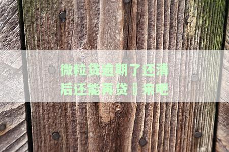 微粒贷逾期还清后能否再次借款？影响与安全性解析