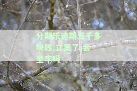 分期乐逾期5000元还不了最后是什么情况了，分期乐逾期5000元，最导致的后果是什么？