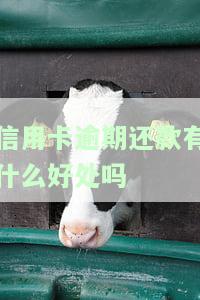 信用卡逾期怎么办，信用卡逾期处理攻略：应对方法与建议