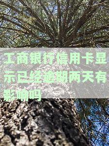 工商银行信用卡显示已经逾期两天有影响吗安全吗，工商银行信用卡逾期两天会有何影响？安全问题需要注意