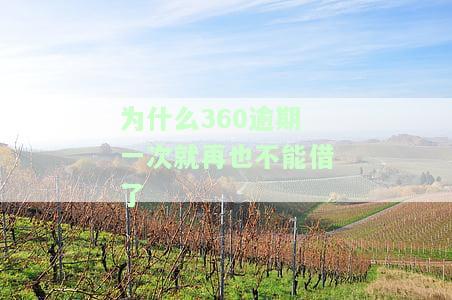 360逾期一天，平台未进行还款操作记录？影响借款吗？